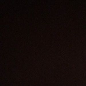 Meet your Posher, Tanner